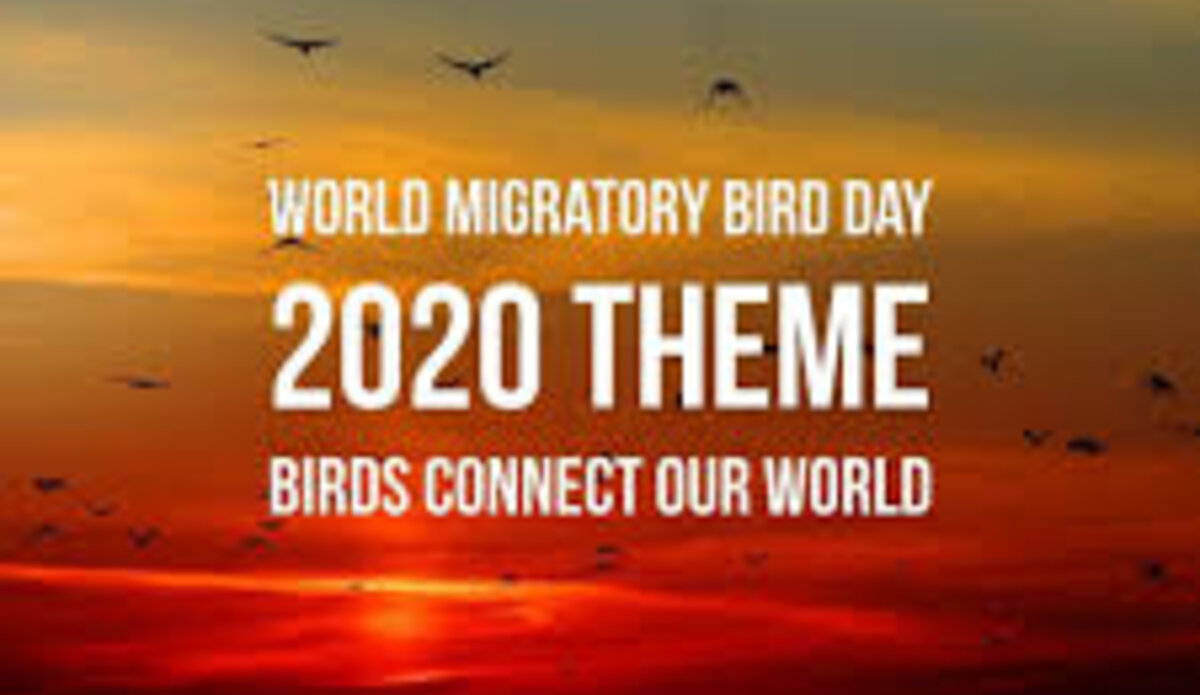 SECRETARY-GENERAL’S MESSAGE ON WORLD MIGRATORY BIRD DAY | UNRCCA