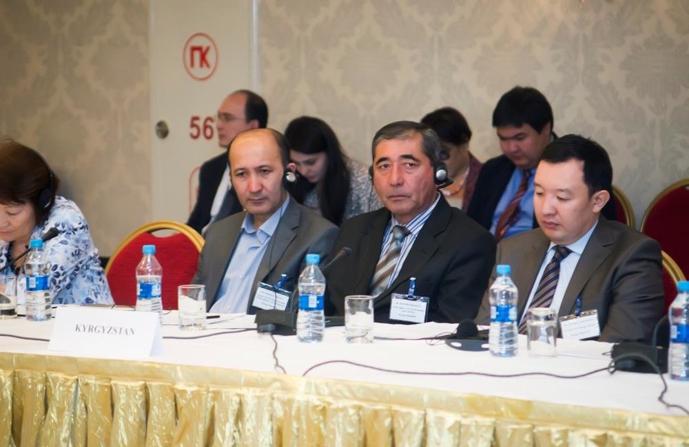 The Impact of Glaciers Melting on National and Trans-Boundary Water Systems in Central Asia, Almaty, 11-12 April 2013