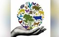 SECRETARY-GENERAL'S MESSAGE ON THE INTERNATIONAL DAY FOR BIOLOGICAL DIVERSITY