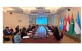 СПЕЦПРЕДСТАВИТЕЛЬ КАХА ИМНАДЗЕ  ПРОВЁЛ БРИФИНГ О ДЕЯТЕЛЬНОСТИ РЦПДЦА В РАМКАХ МЕЖДУНАРОДНОГО ГОДА МИРА И ДОВЕРИЯ
