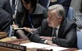 secretary-general's remarks to security council