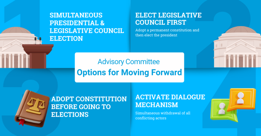 Advisory Committee Options for Moving Forward
